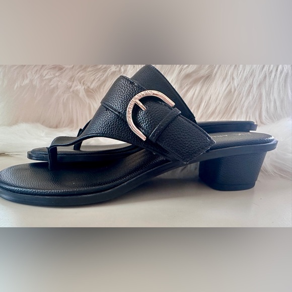 Anne Klein Tamsen Black Platform Sandals with Silver Details buckles!  EUC! - Picture 1 of 5